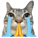 plej