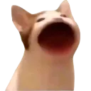 uwaa
