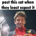 cat_charles