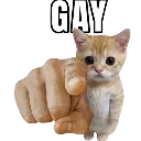 urgay