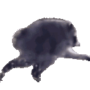 Jimothy animated GIF emoji from Da Cuties