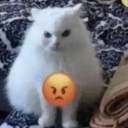 emoji_5 Discord Emoji - 𝑿𝑶