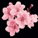 :c10da760df5c01e8c6799214f4d9a69c: