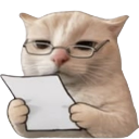 catnoted custom emote | Underground Algerian Community