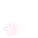 4paws