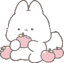 bunny2