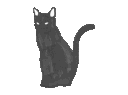 Black cat in pixel art style performing various poses including waving and sitting.