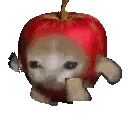 265_omw animated emote - Rabbit Hole