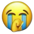 :sonimcrine1: