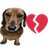dog_heartbroken