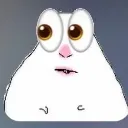 hampter_eyes