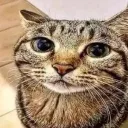 catpos