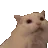 kittenScream