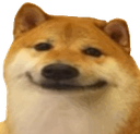 doge custom emote from ✨ CinePaglus✨