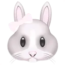 bunny5