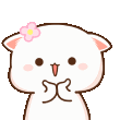 catcute