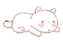 catcute