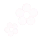 b1_flower