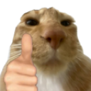 catgoodluck Discord Emoji | LETS MEOWWW