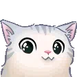<a:144119smushaww:1538944639527288914>