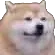 dogchil custom emote | Reality Awaits
