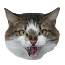 :hiss: