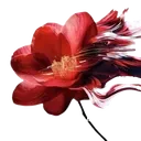 8red_flower