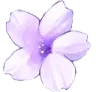 6purpleflower