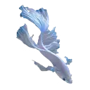002_aeris_fish