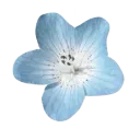 002_aeris_petal
