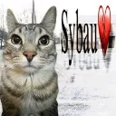catsybau