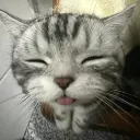 bleh