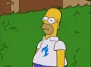 homerhide