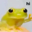 hi