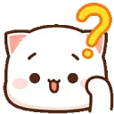 kittyconfused