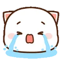 kittycrying