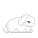 :bunby: