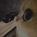 Waitwhat