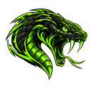 Vipers logo