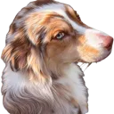 sideeye