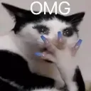 omg