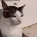 sus