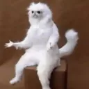 wtf