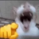 lol