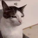 srsly