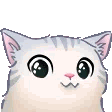 cute
