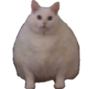 158808chonk Discord sticker - so /disgustful
