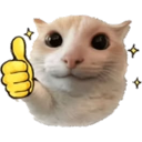 Cat with wide eyes giving a thumbs up gesture.