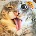 bleh_XP Discord emoji