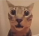 scared_fella_XP Discord emoji